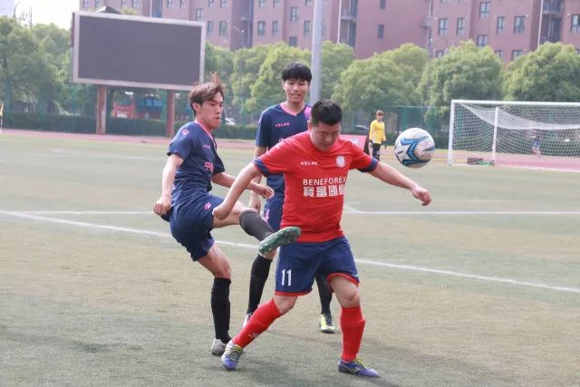 葡萄牙遭淘汰后，英超名宿怒喷C罗：队友敢怒不敢言，你就是祸首